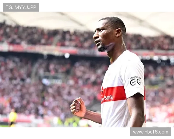 哪些德甲球队有中国资本入股？中资背景调查