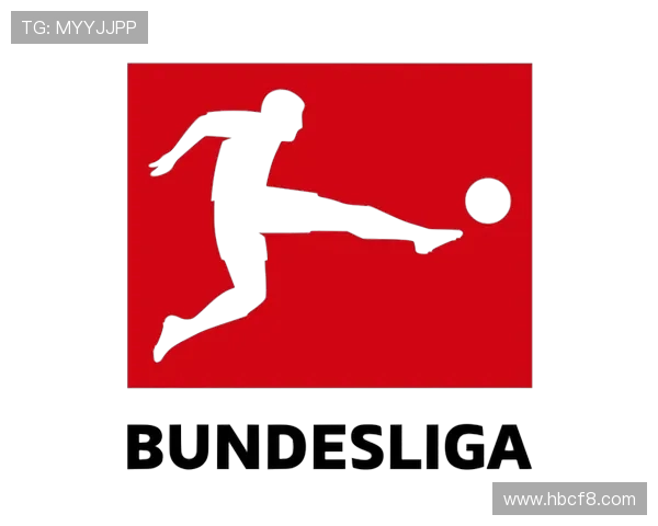 德甲阵营有哪些球队构成？德国顶级联赛结构详解